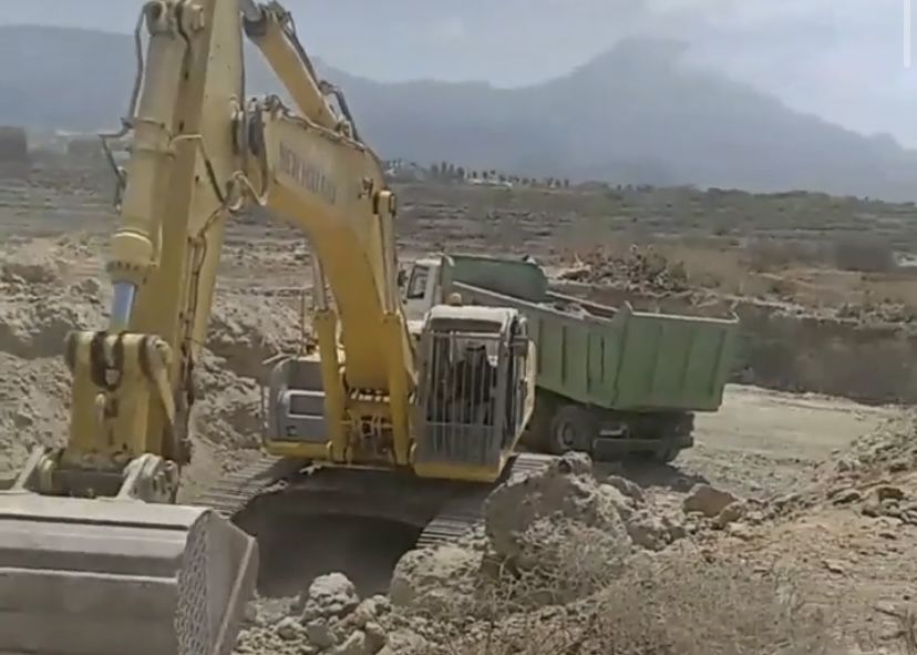 Imagen del vídeo que se hizo viral el pasado martes en el Puertito de Adeje. / @salvarelpuertito 