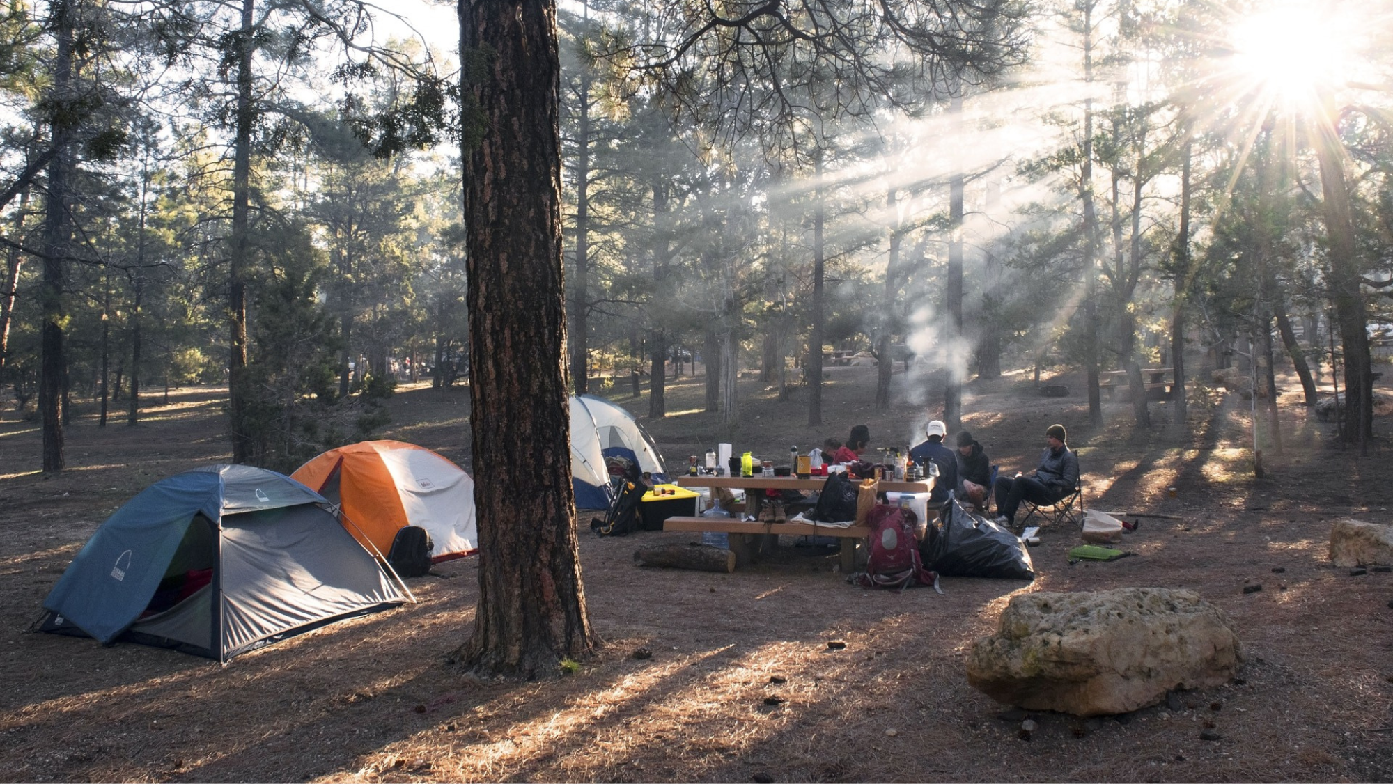 Acampada en un bosque. / Pixabay