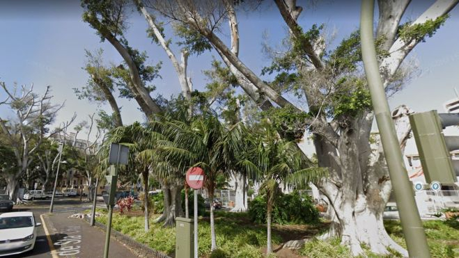 Zona de la rambla con Laureles de Indias podados donde se ha ejecutado el proyecto. / Google Maps
