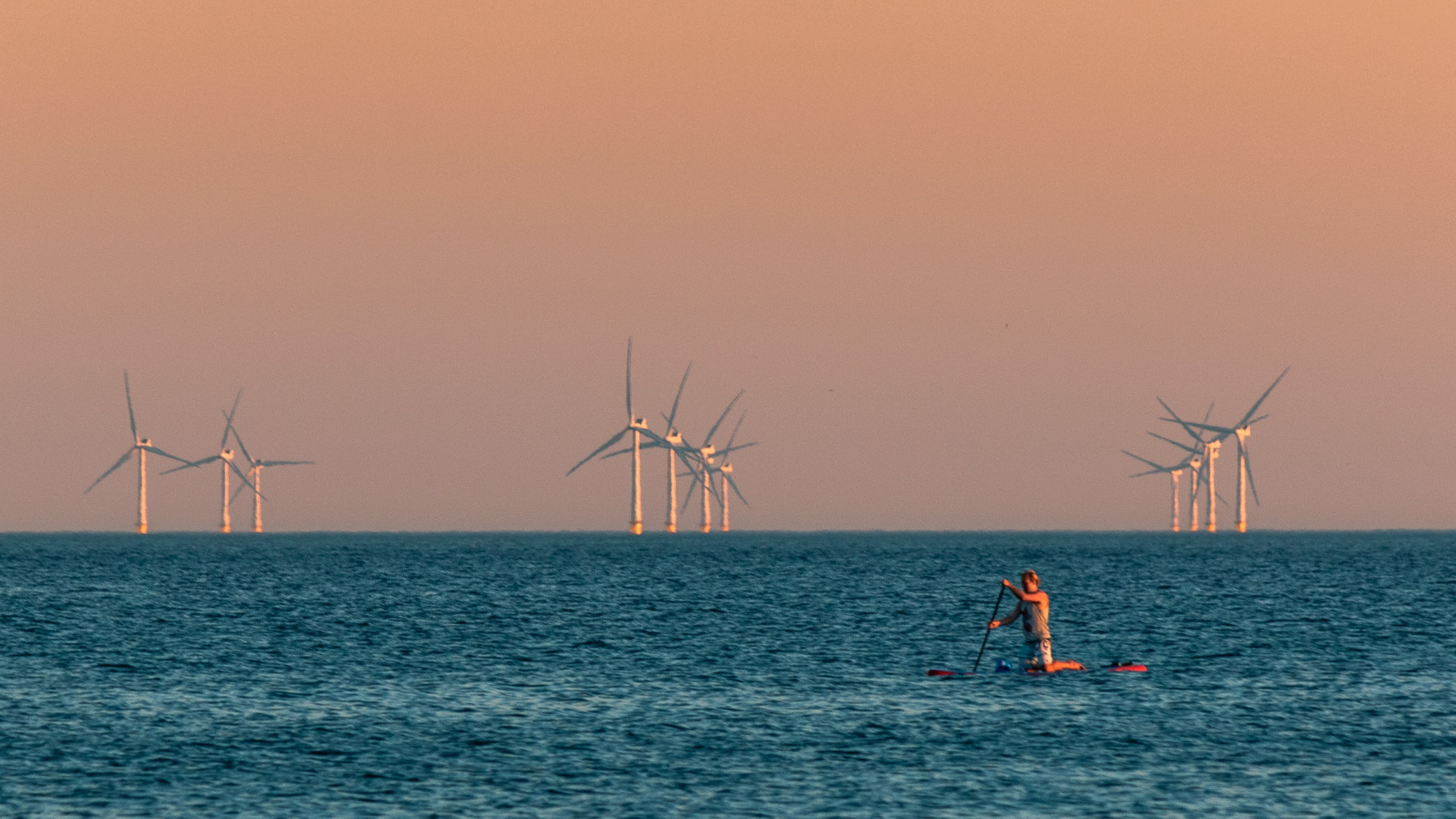 Aerogeneradores de un parque de energía eólica marina. / Foto de Reegan Fraser en Unsplash