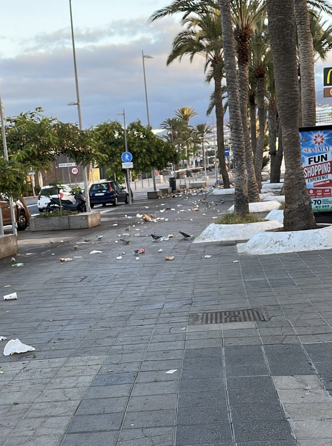 Avenida Rafael Puig Lluvina, en Arona, llena de residuos./ Twitter (@Titiritesa_)