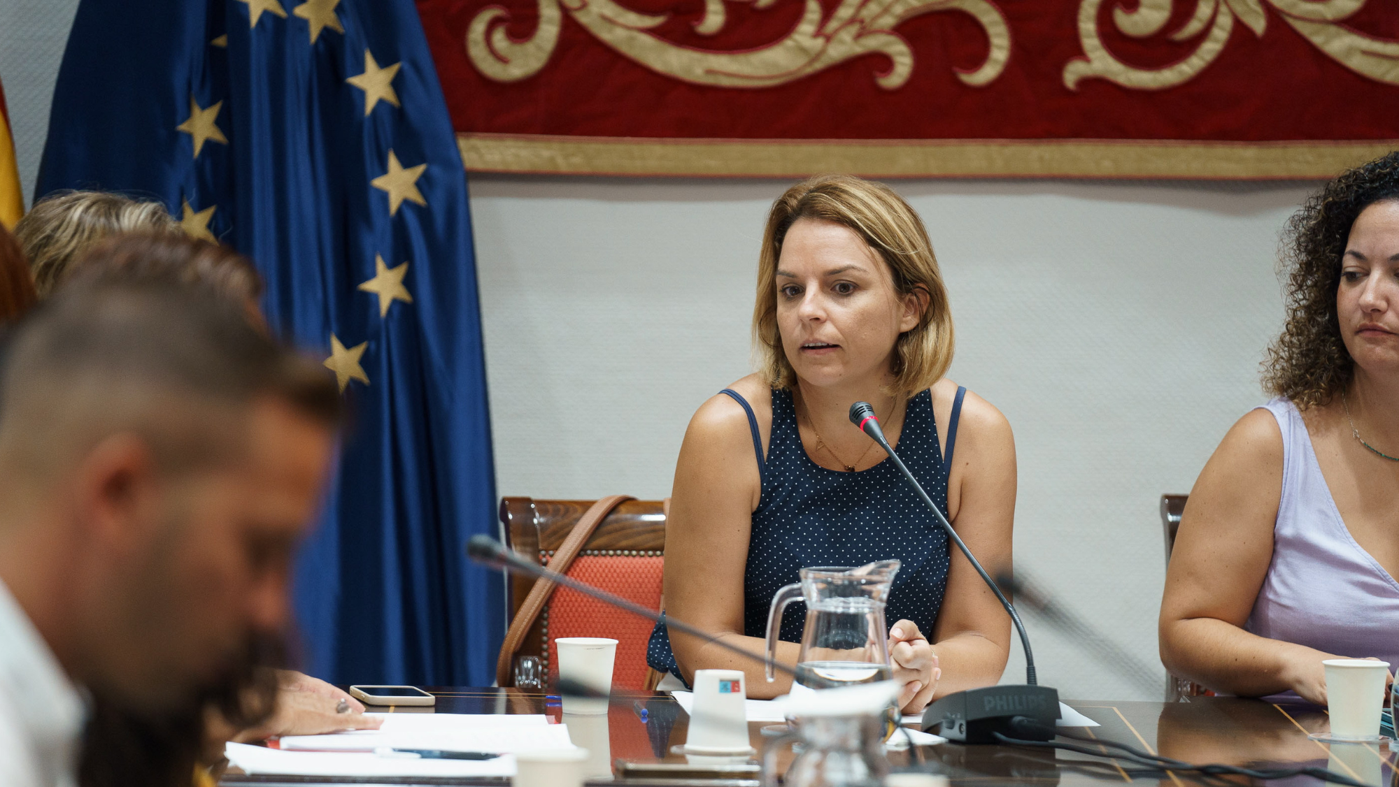 La consejera de Derechos Sociales en una comisión parlamentaria informando sobre el nuevo proyecto de viviendas colaborativas entre mayores y jóvenes. / EFE