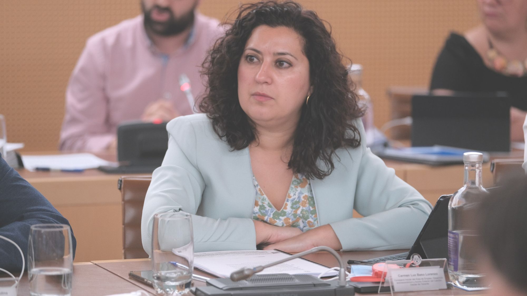 La consejera de Empleo, Desarrollo Socioeconómico y Acción Exterior, Carmen Luz Baso. / CEDIDA