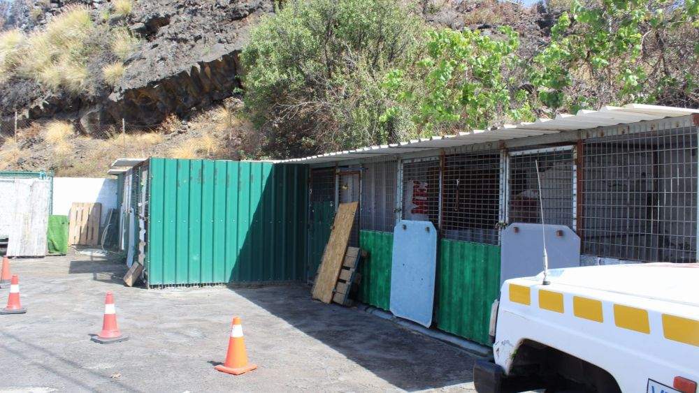 Cheniles para perros en el refugio de El Paso./ Álvaro Oliver (AH) Cheniles para perros en el refugio de El Paso./ Álvaro Oliver (AH)