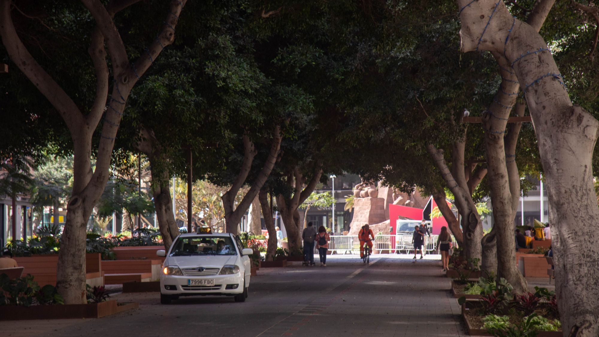 Foto de un taxi en Las Palmas de Gran Canaria. / Atlántico Hoy