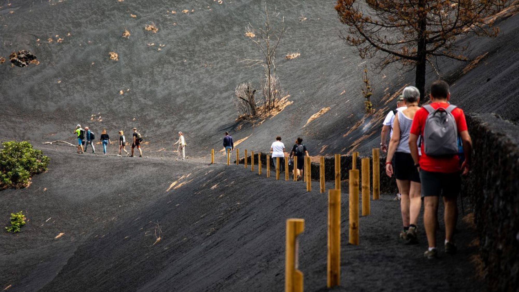 Las dos universidades públicas canarias presentan un proyecto para ayudar a la reconstrucción de La Palma. /Europa Press