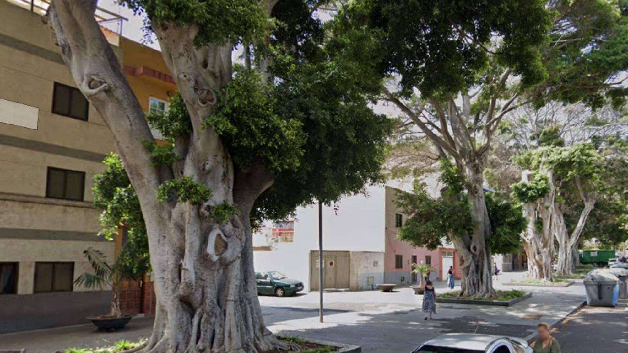 Zona arbolada en San Andrés. / GoogleMaps