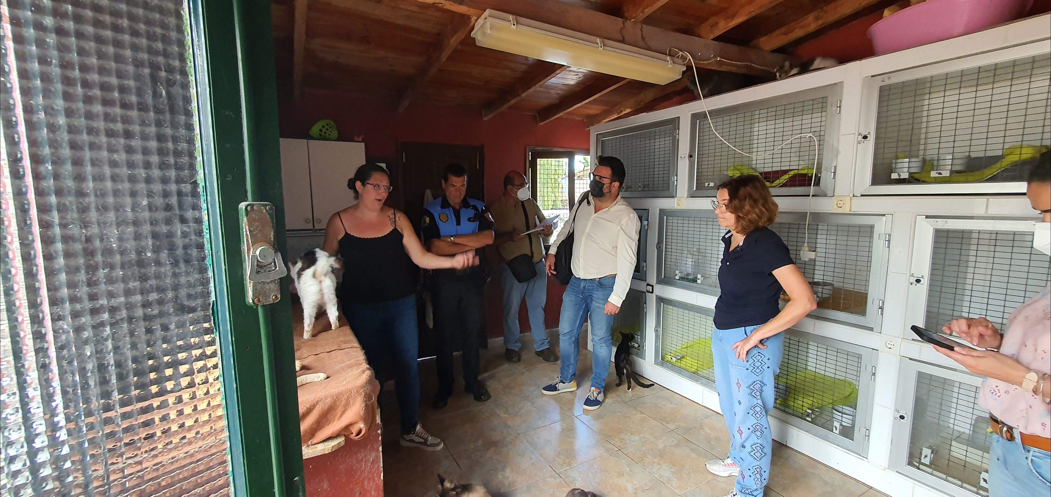 Visita a la Asociación Protectora de Gatos La Rosaleda./