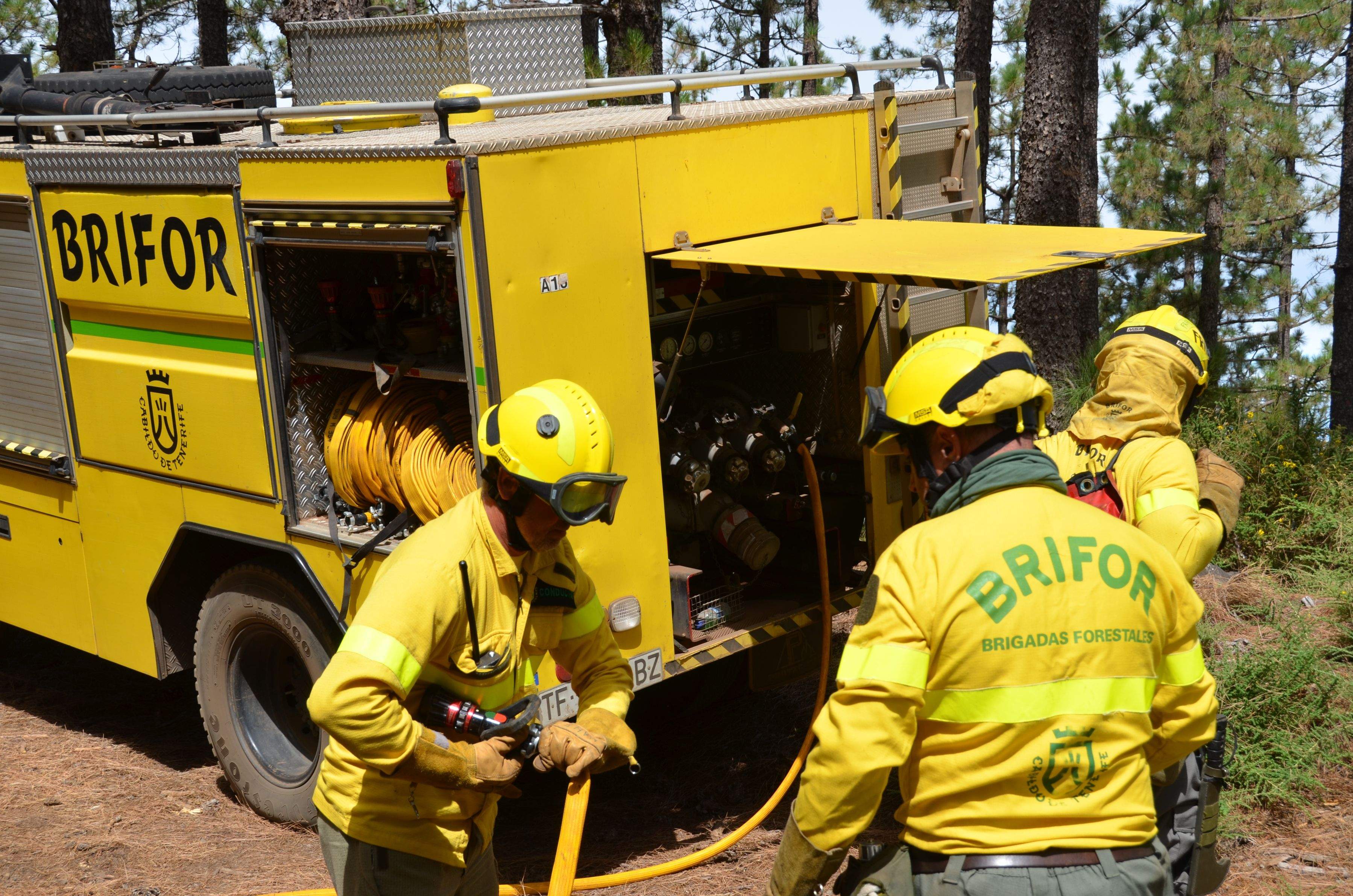 Imagen de archivo de la Brifor ante incendios. / Cabildo de Tenerife 