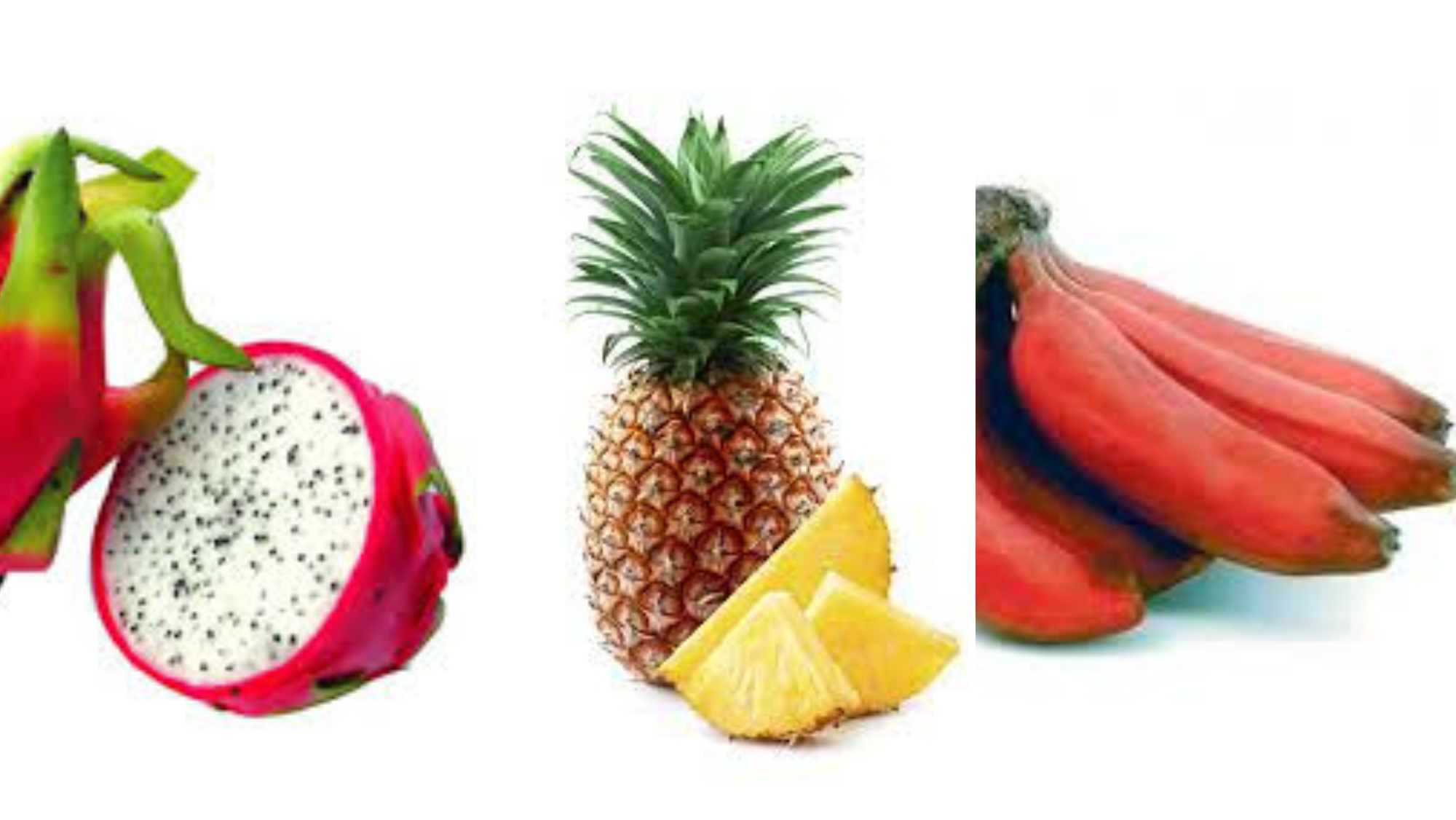 Una pitaya, una piña tropical y unos plátanos rojos./ Montaje AH