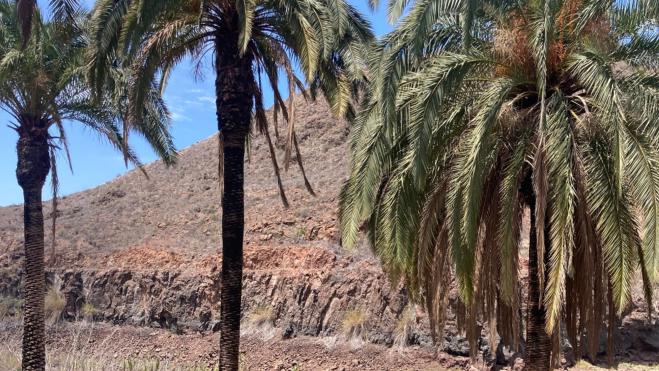 Ayagaures Alto. / Cabildo de Gran Canaria 