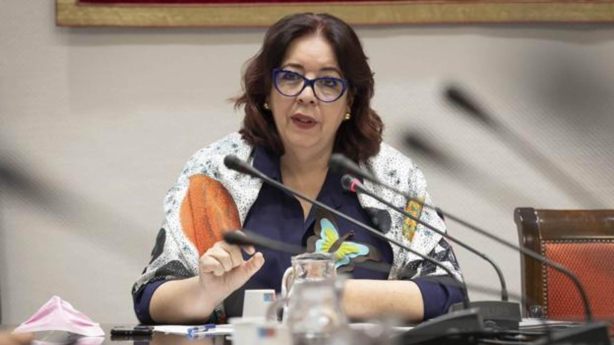 La Consejera de Educación del Gobierno de Canarias, Manuela Armas. / EFE