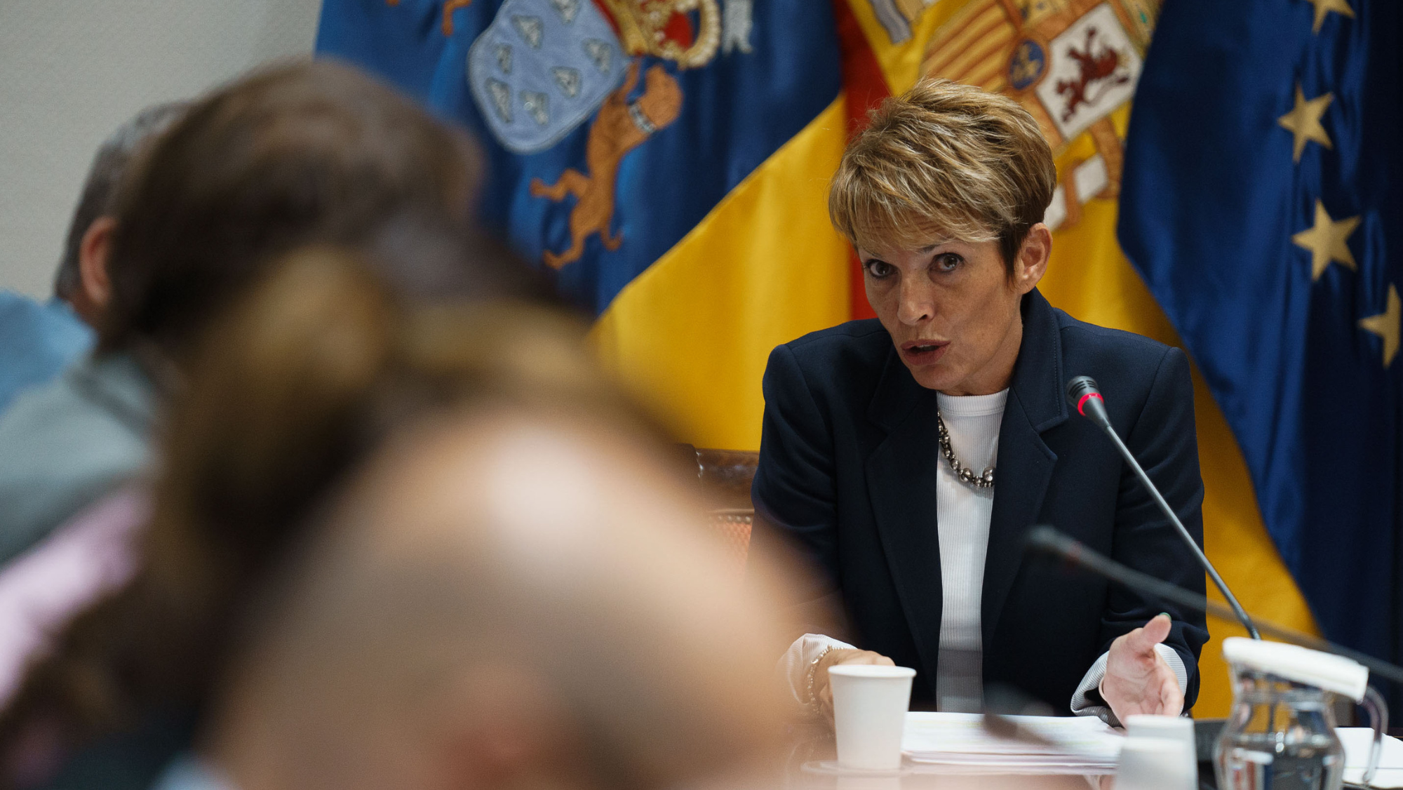 Ese órgano permitiría ampliar la actuación de la Consejería. /Efe