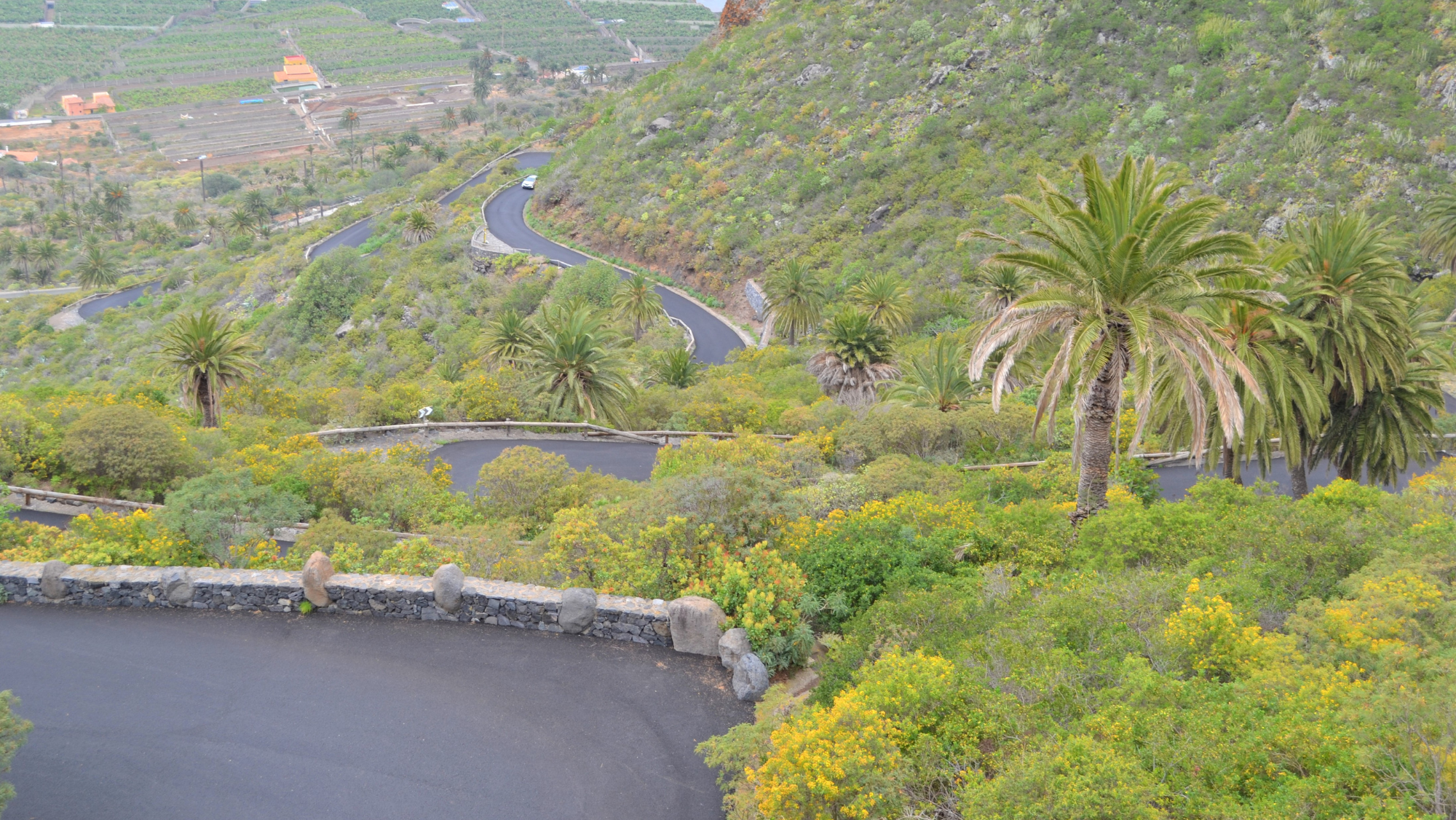 Sitio de Interés Científico de Interián en Los Silos. / Cedida