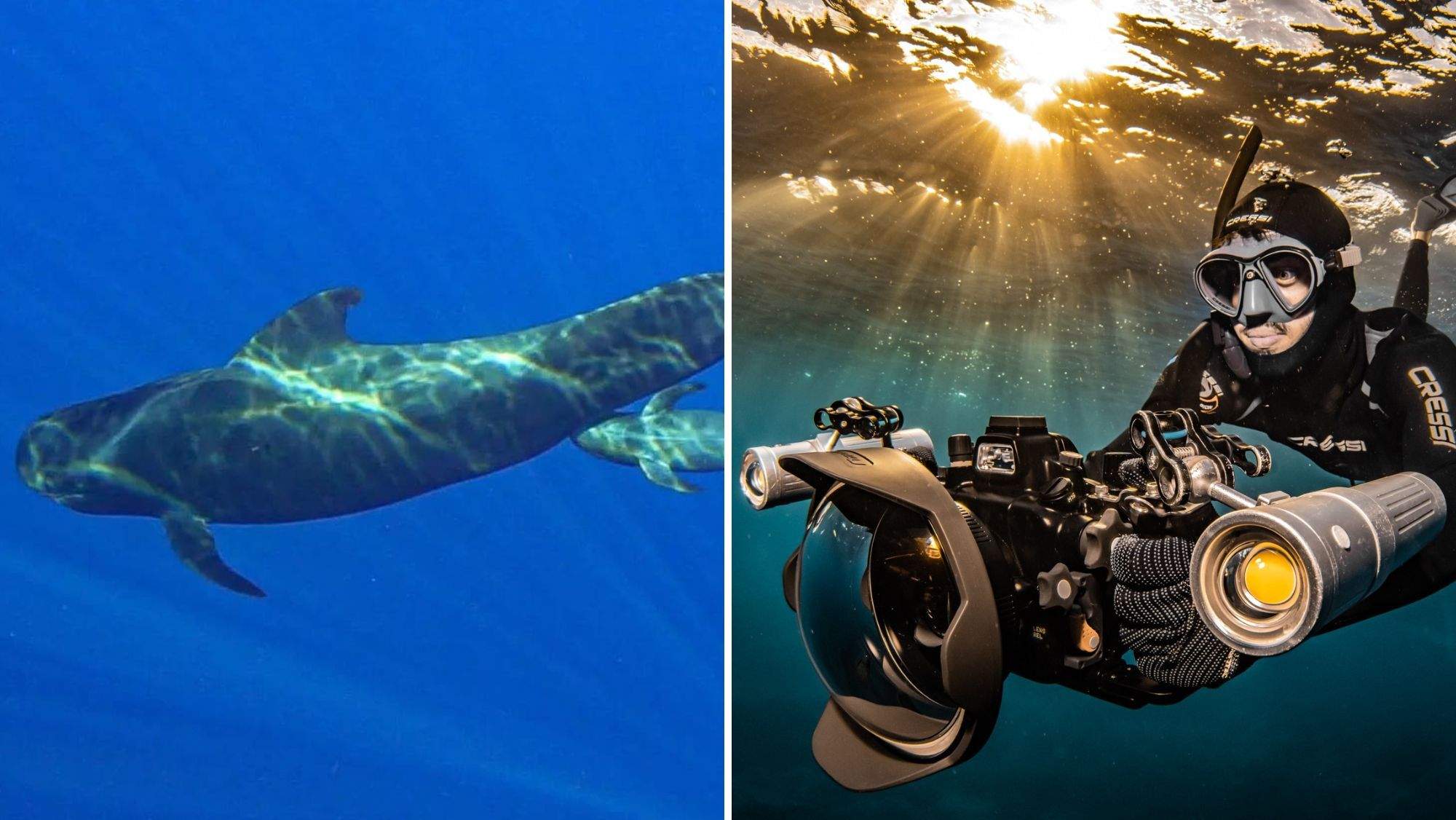 Una imagen del documental 'Salvar Tenerife' y Felipe Ravina en una grabación. / Cedida