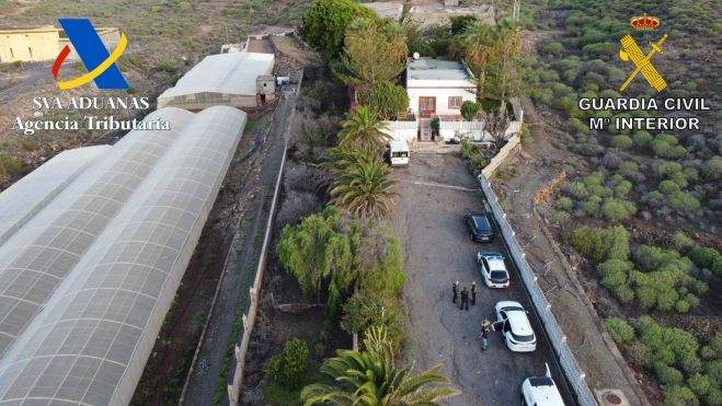 Invernadero donde se ha incautado la marihuana. / Cedida