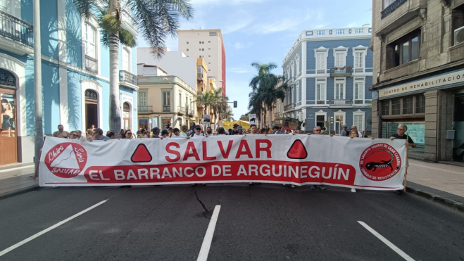 Manifestantes en dirección al Cabildo de Gran Canaria. / Atlántico Hoy