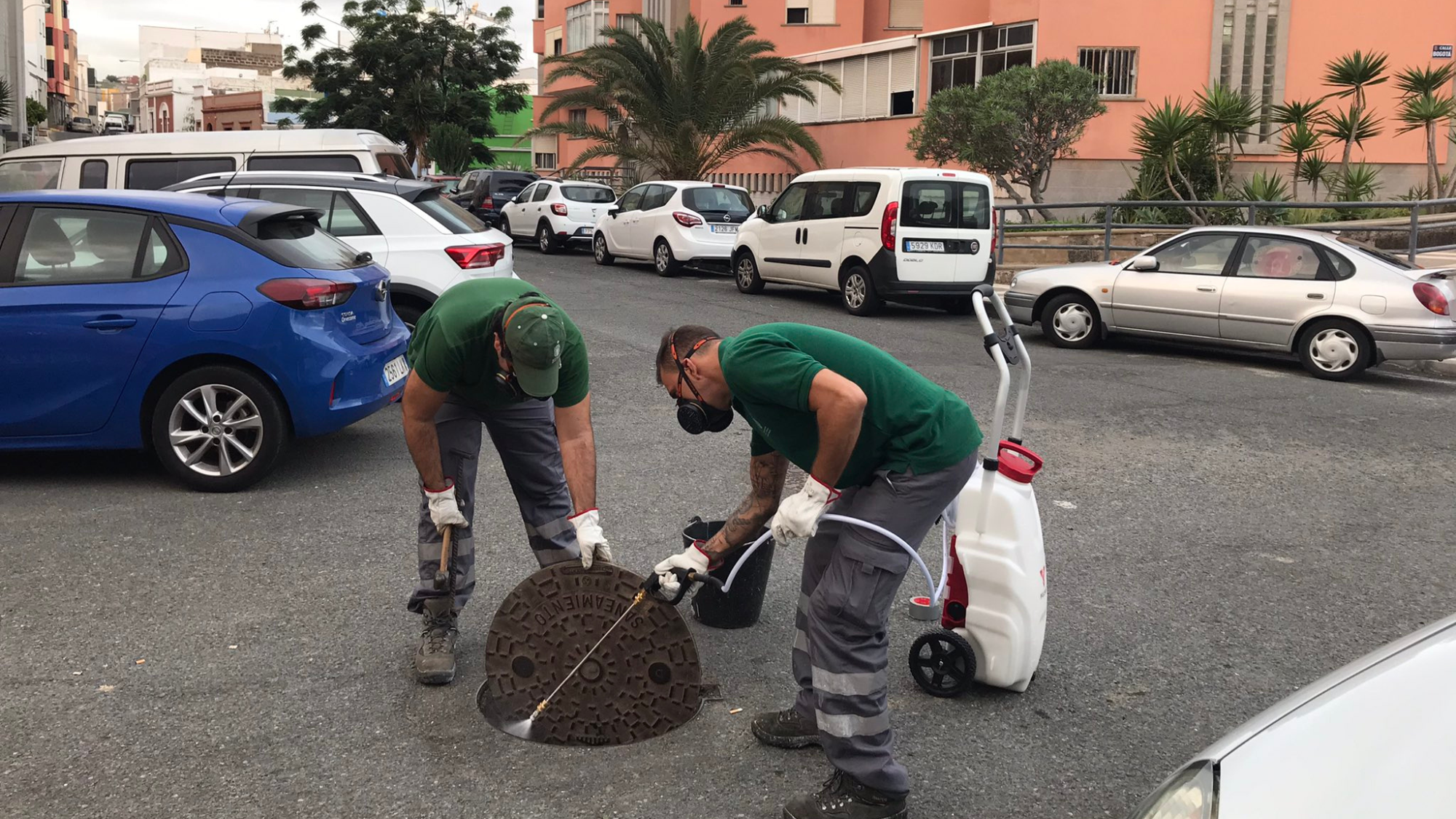Los trabajadores municipales han llevado a cabo el tratamiento de control de plagas en 18 barrios de la capital. /Ayuntamiento de Las Palmas