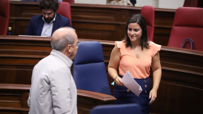 La consejera de Turismo, Yaiza Castilla. En primer plano, de espaldas, el diputado de Podemos Paco Déniz. / Consejería de Turismo, Industria y Comercio