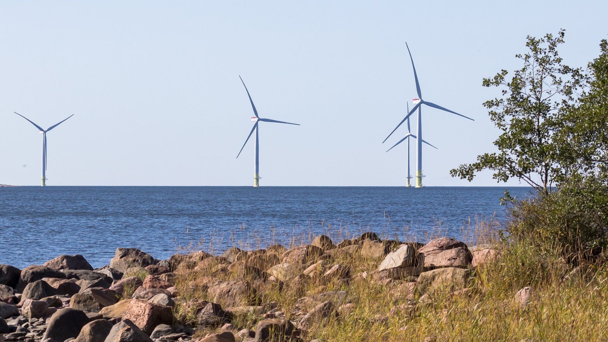 Aerogeneradores de energía eólica marina en el mar./ Pixabay