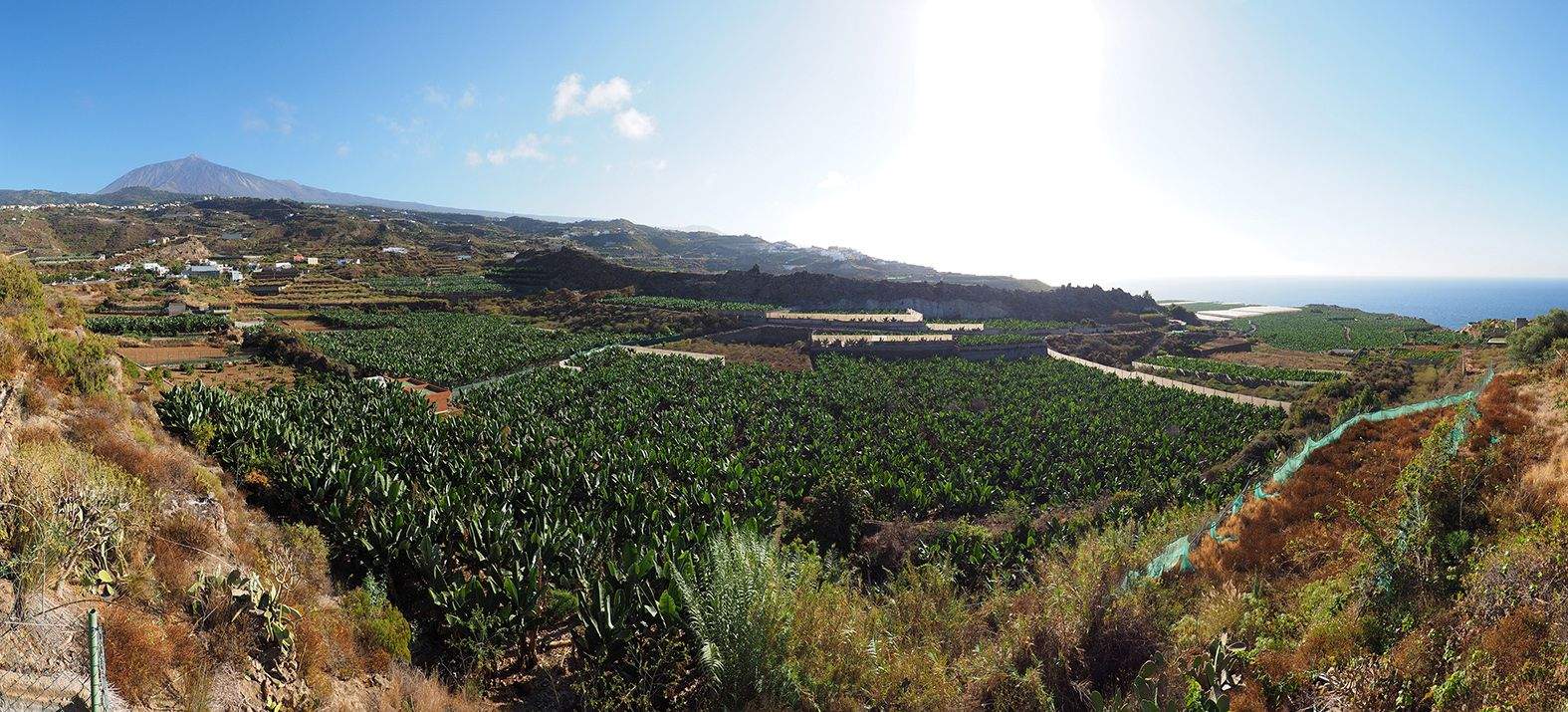 Imagen de una pista agrícola, sector al que irán destinadas las desaladoras./ Redes Imagen de una pista agrícola, sector al que irán destinadas las desaladoras./ Redes