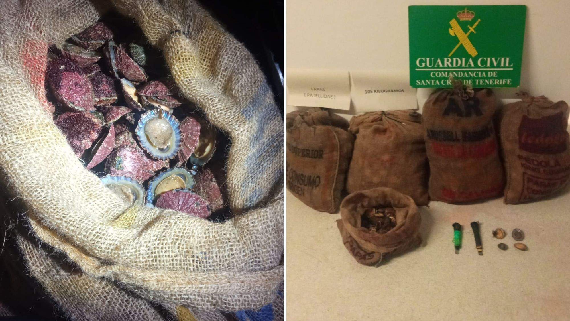Cinco sacos de lapas requisados por la Guardia Civil. / Cedidas