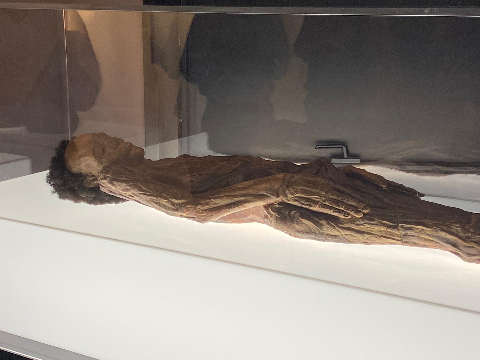 Réplica de la momia presentada este miércoles en el Museo de la Naturaleza y Arqueología. / AH