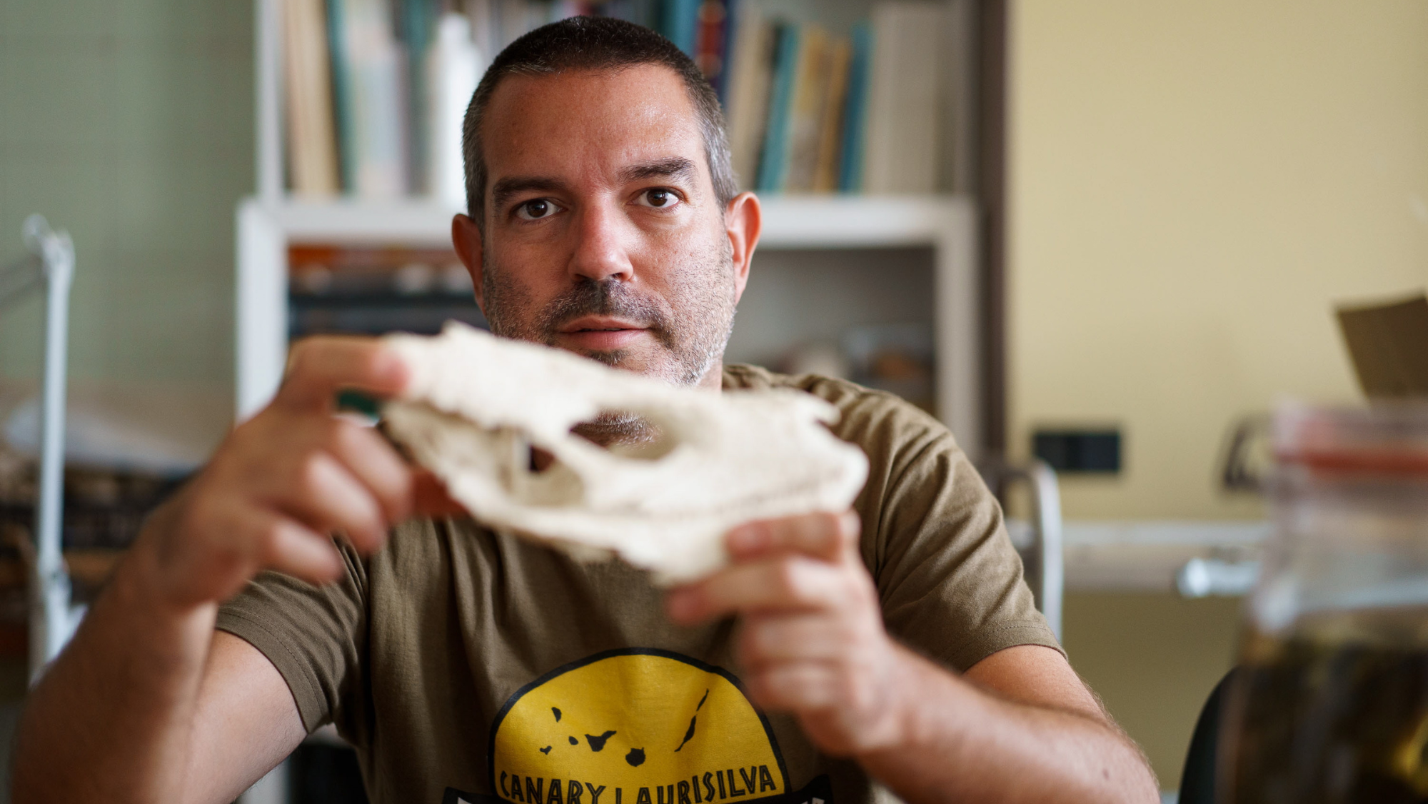 La investigación explica que se requiere ADN antiguo. /Efe