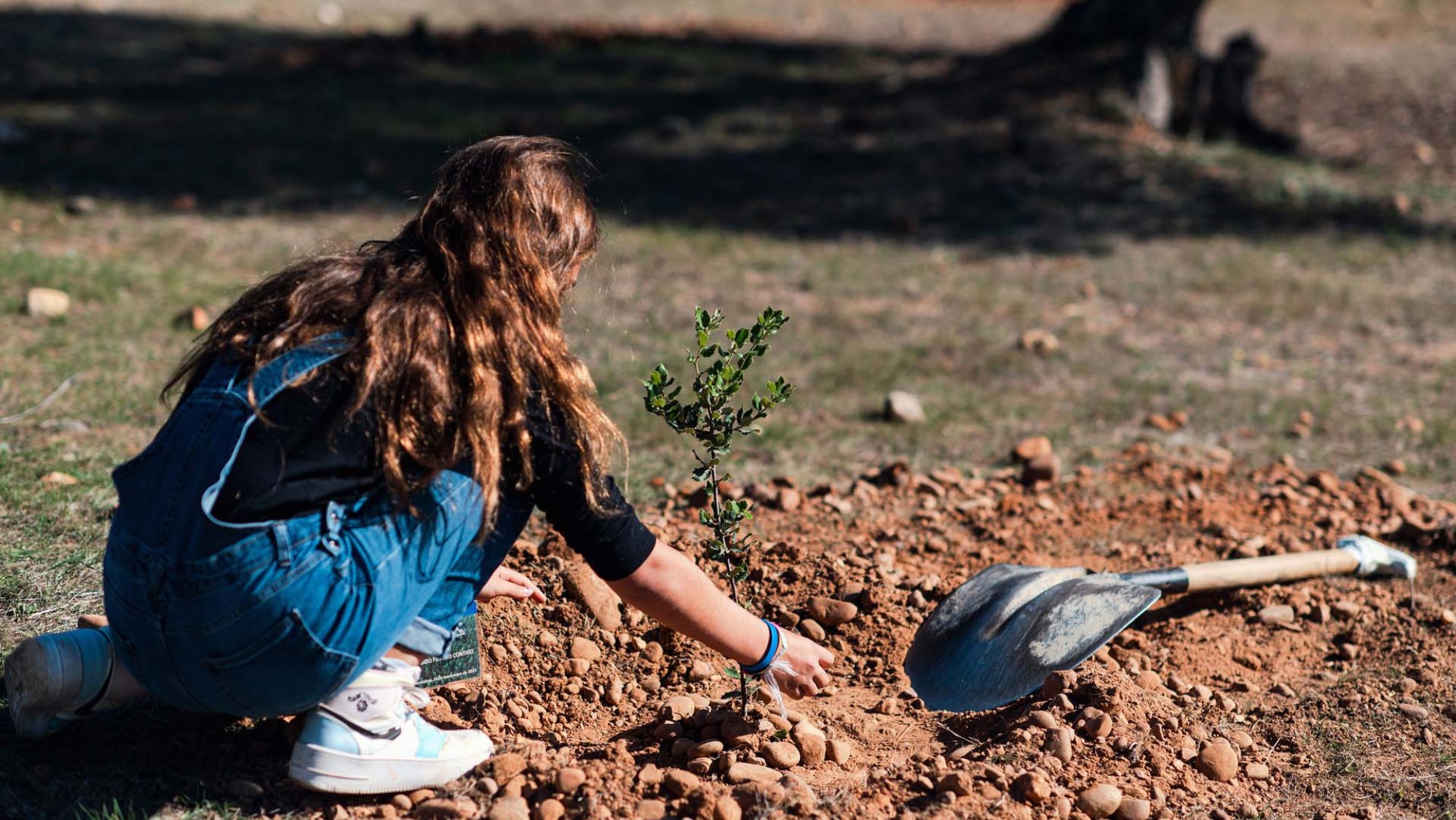 HiperDino junto a Chocolates Trapa tienen el objetivo de reforestar las zonas señaladas. /HiperDino