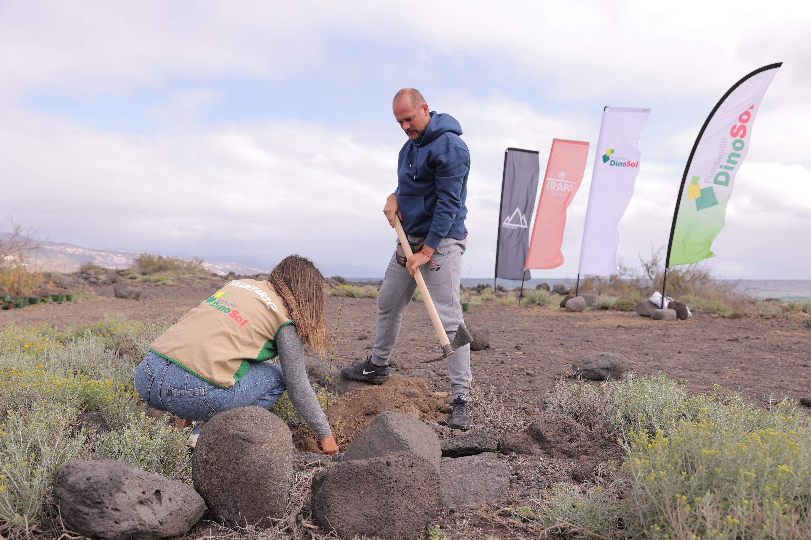Voluntarios en un momento de la jornada en la que  plantan 1.000 árboles en Arafo. / Fundación DinoSol  