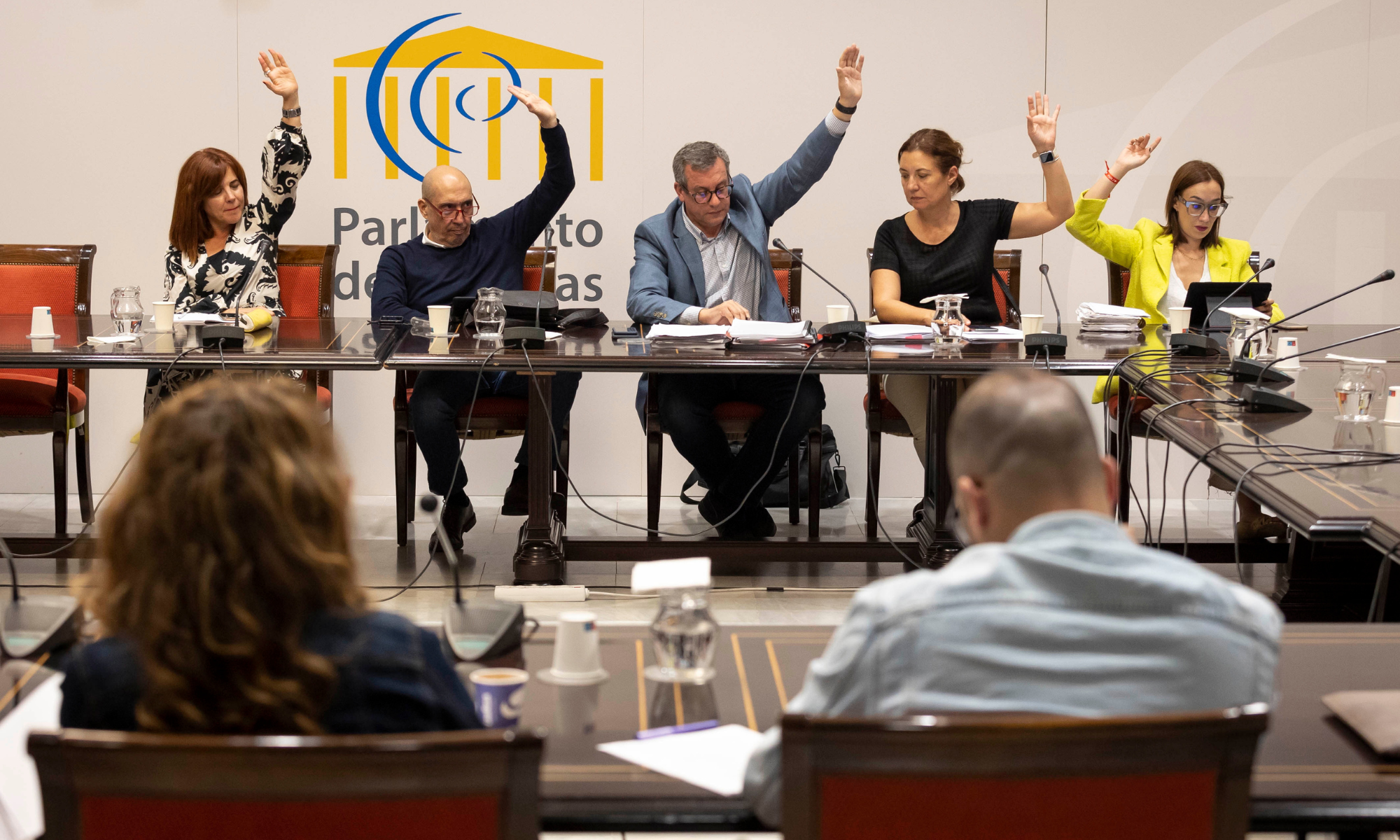 Votación de las enmiendas y artículos de la Ley de Cambio Climático y Transición Ecológica de Canarias. / Efe