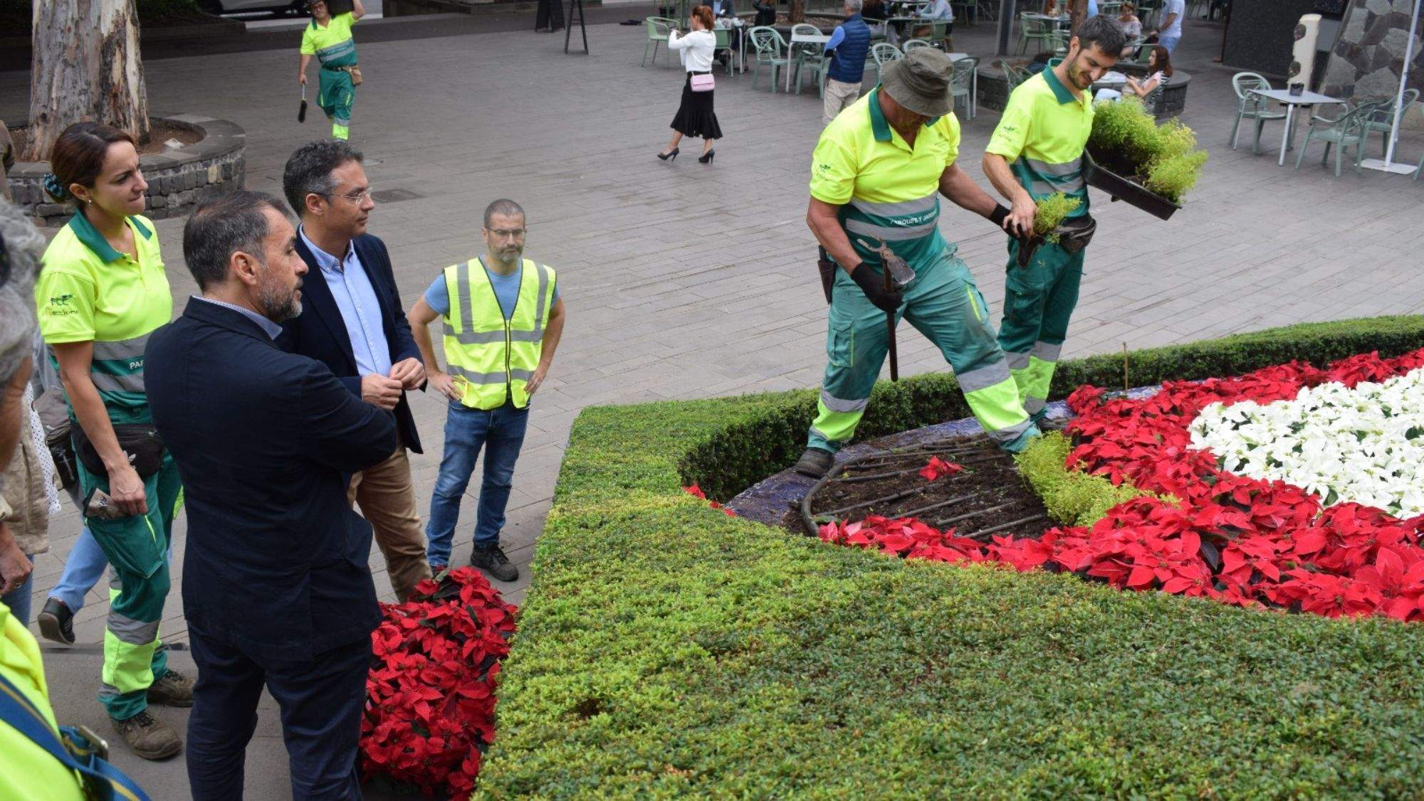 El alcalde, José Manuel Bermúdez, y el concejal de Servicios Públicos, Carlos Tarife, supervisan los inicios de la plantación de las flores de pascua. / Cedida