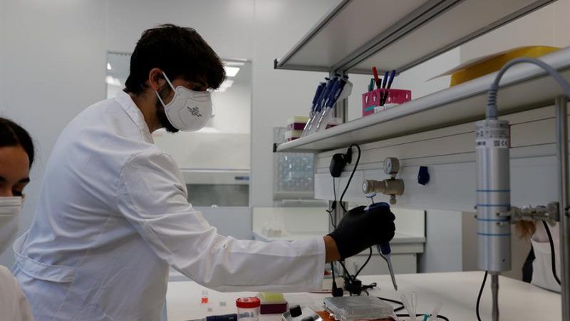 Canarias es la comunidad que menos gasta en ciencia. / Efe