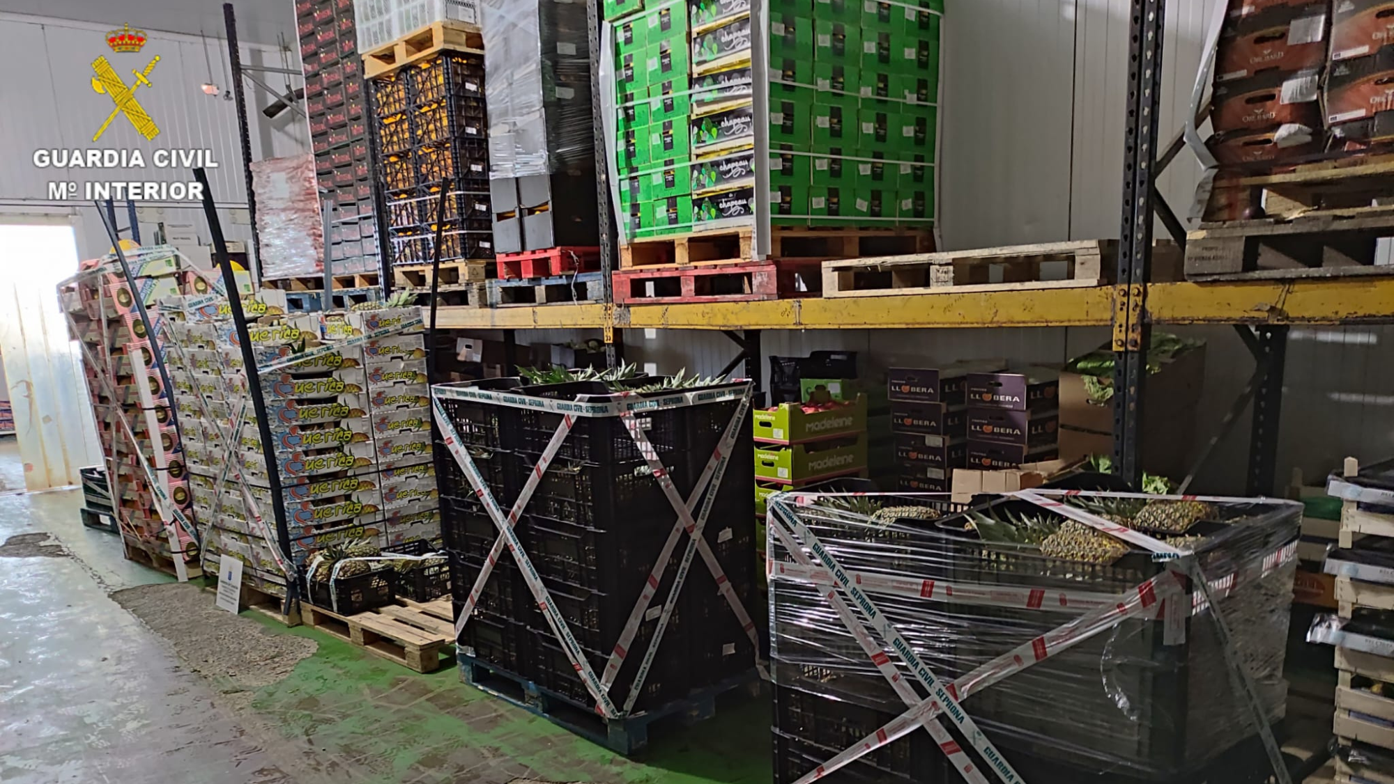 Mercancía incautada por el SEPRONA. /Guardia Civil