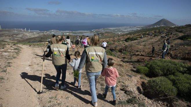 Fundación DinoSol y Chocolates Trapa han celebrado hoy una jornada de reforestación en Gáldar. /HiperDino