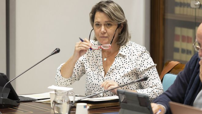 La consejera de Agricultura del Gobierno de Canarias, Alicia Vanoostende, respondió este lunes en comisión parlamentaria a varias preguntas sobre regadío, cadena alimentaria, venta online o la producción de aloe vera. / EFE-Miguel Barreto