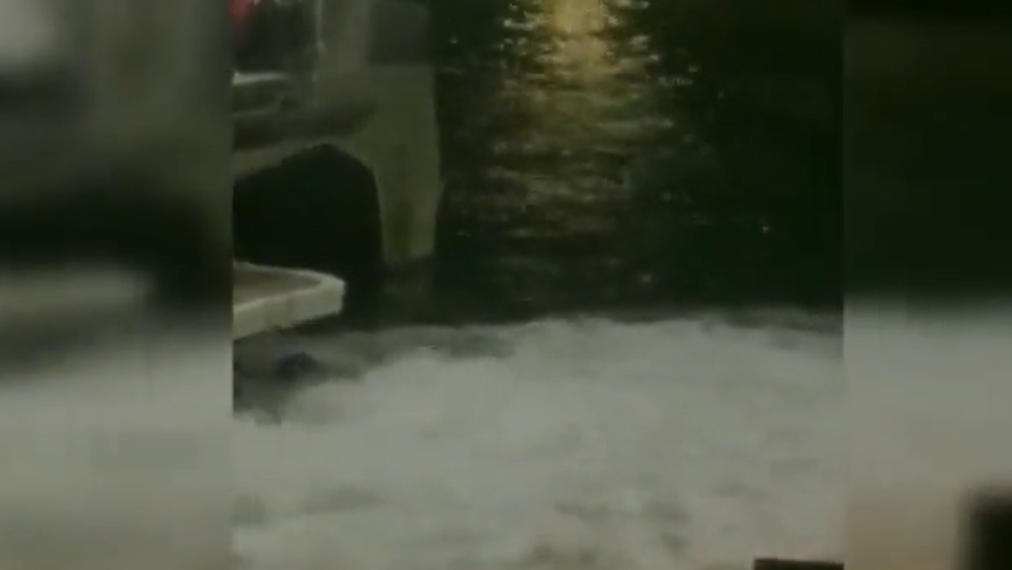 Parte del vídeo del hombre que cayó al mar en el puerto de Santa Cruz. / RtvCanaria