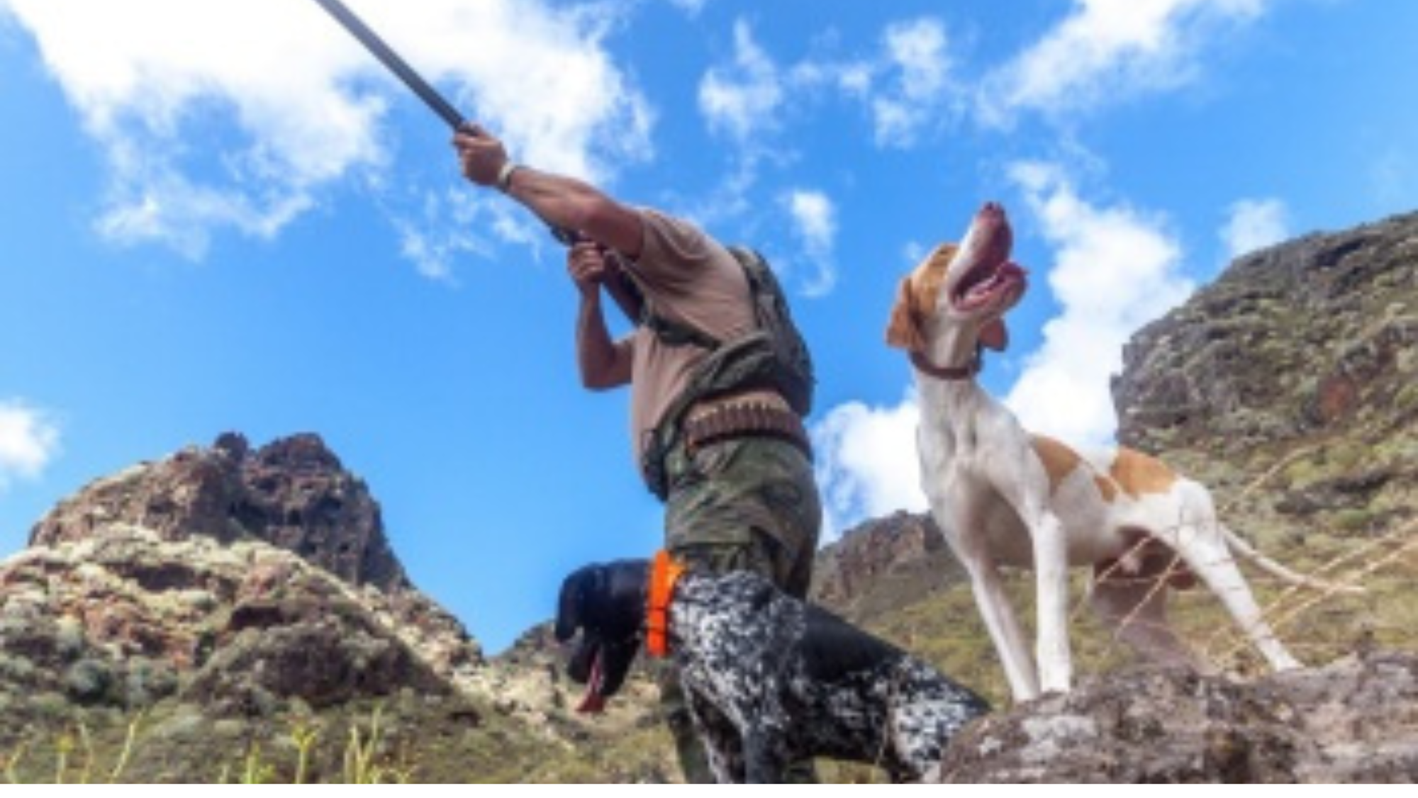 La Fundación Franz Weber pide que se prohíba la asistencia a menores a las cacerías y que porten armas de fuego. / Gobierno de Canarias La Fundación Franz Weber pide que se prohíba la asistencia a menores a las cacerías y que porten armas de fuego. / Gobierno de Canarias