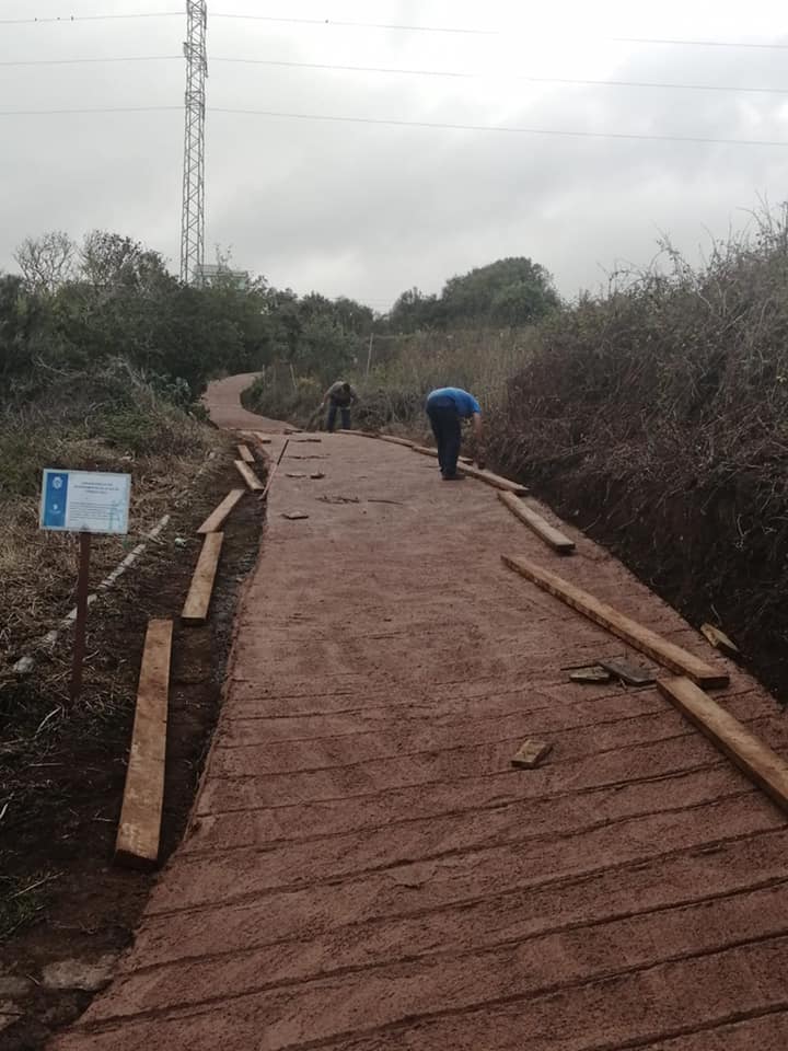 Camino Agrícola Fuentecilla en El Sauzal./