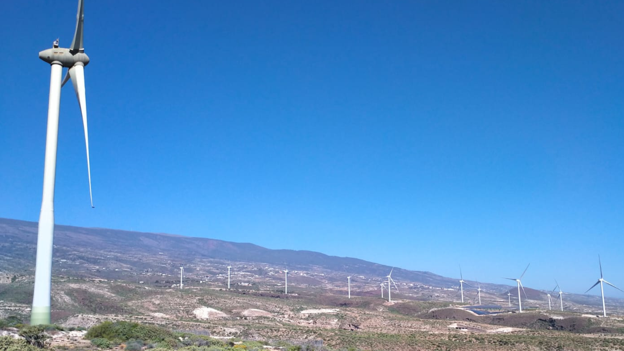 Parque eólico en Arico. / Archivo - Atlántico Hoy