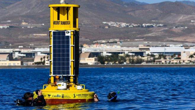 Imagen de una de las boyas del proyecto BuoyPam. /CanBio