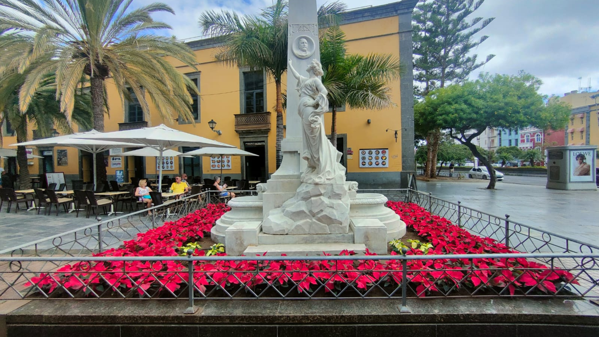Flores de Pascua en la plaza de Las Ranas. /Ayuntamiento de Las Palmas de Gran Canaria Flores de Pascua en la plaza de Las Ranas. /Ayuntamiento de Las Palmas de Gran Canaria