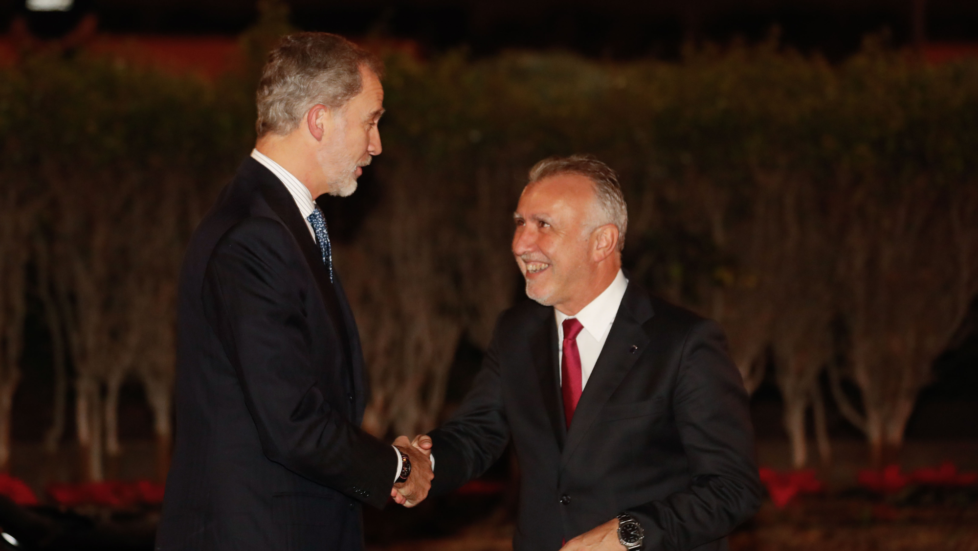 El rey Felipe VI saluda al presidente del Gobierno de Canarias, Ángel Víctor Torres. / EFE. Elvira Urquijo A.