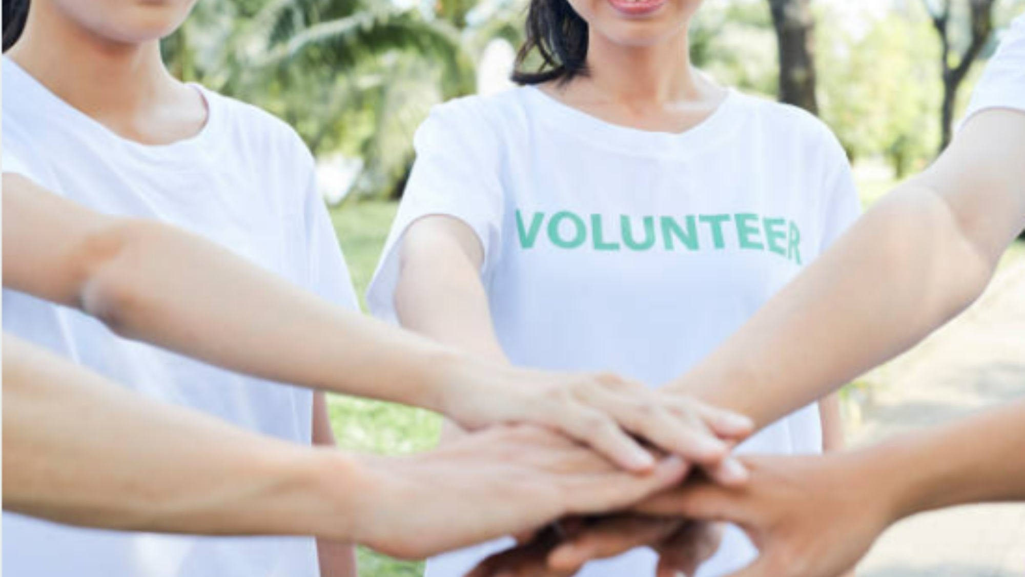 Algunas de las asociaciones han conseguido subvencionar varios proyectos. / Archivo