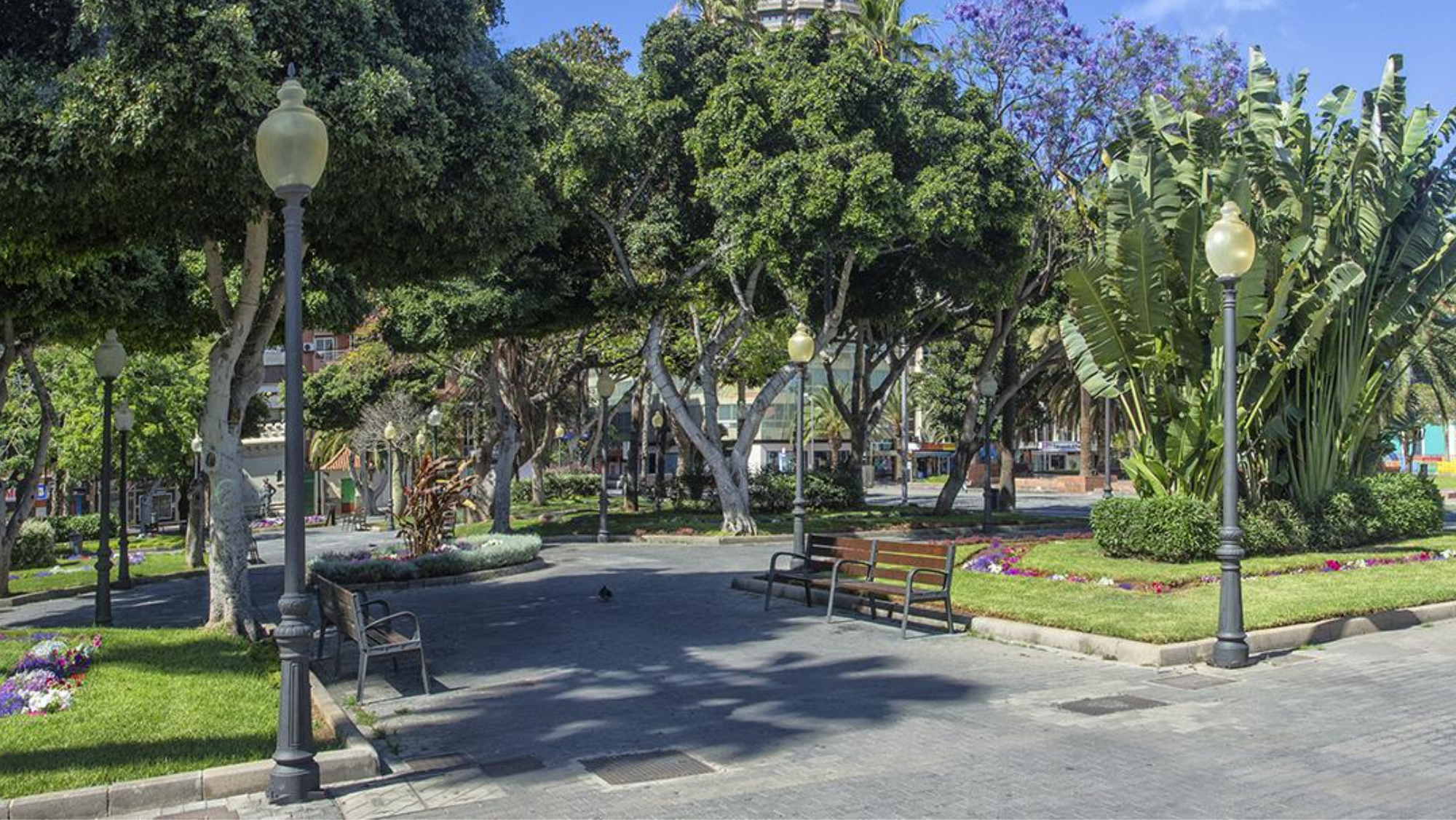 Tres menores marroquíes, detenidos en Las Palmas por un robo violento en el Parque Santa Catalina. / AH