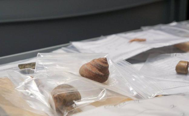 Restos arqueológicos depositados en la Universidad de La Laguna (ULL) que serán devueltos al yacimiento situado en su isla de origen / . GOBIERNO DE CANARIAS Restos arqueológicos depositados en la Universidad de La Laguna (ULL) que serán devueltos al yacimiento situado en su isla de origen / . GOBIERNO DE CANARIAS