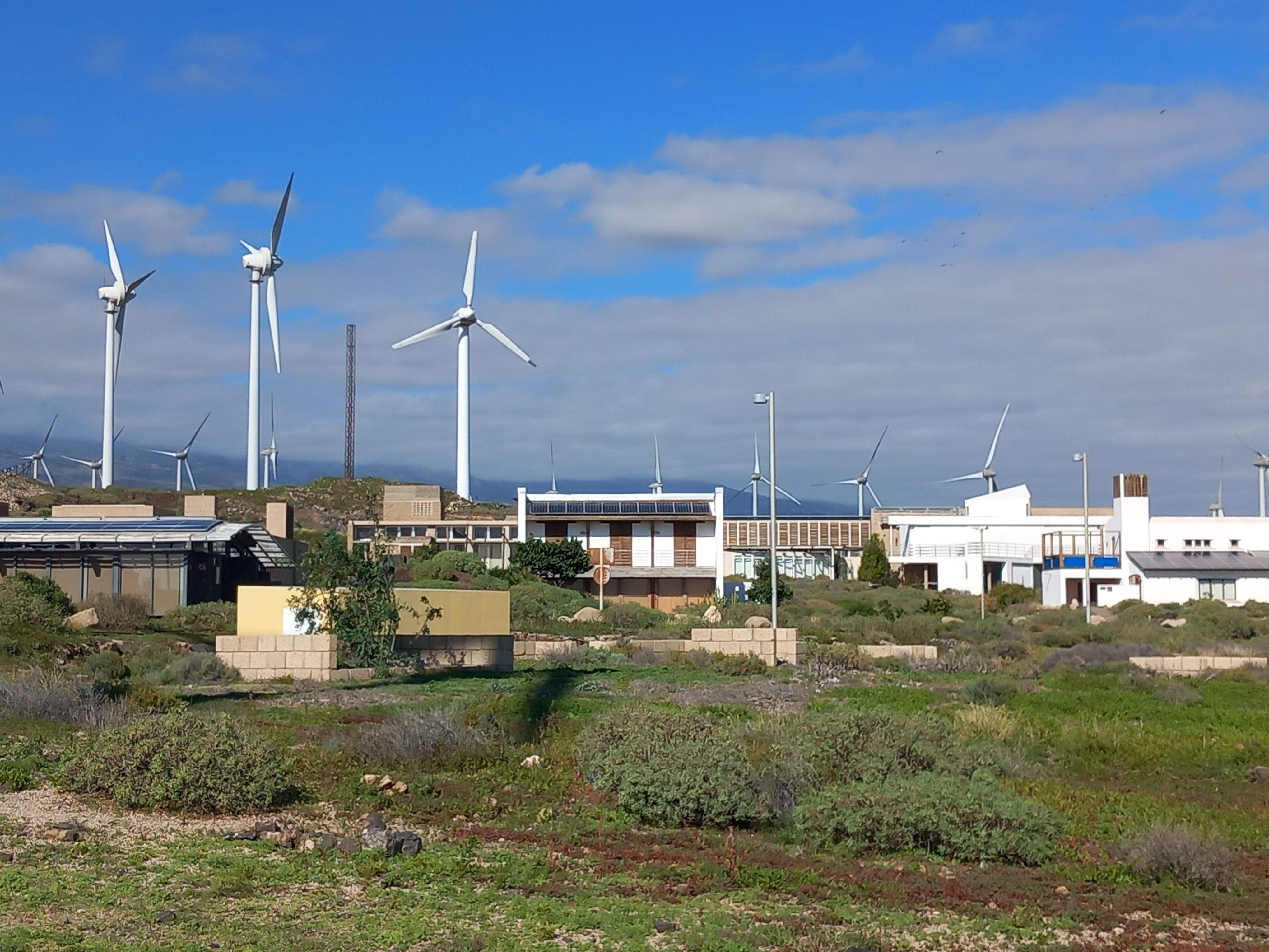 Las 24 casas bioclimáticas del ITER se ubican en el Polígono Industrial de Granadilla y normalmente están disponibles para alquiler turístico de corta duración./ AH. Las 24 casas bioclimáticas del ITER se ubican en el Polígono Industrial de Granadilla y normalmente están disponibles para alquiler turístico de corta duración./ AH.