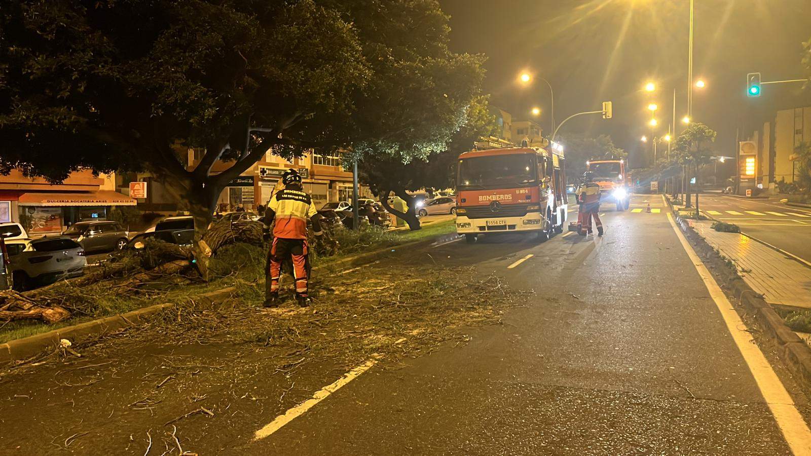 Los bomberos de Las Palmas de Gran Canaria han tenido que atender muchas incidencias durante la madrugada. / Bomberos de Las Palmas de Gran Canaria