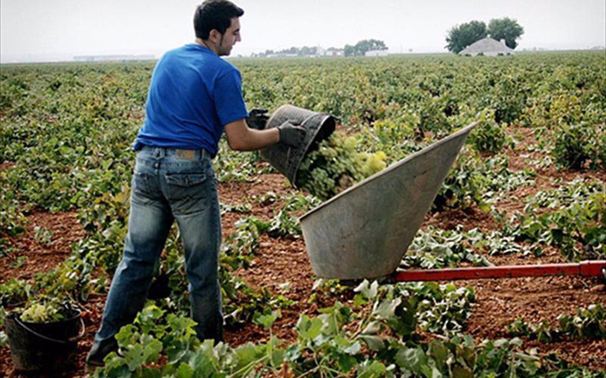 Un agricultor trabajando en el campo. / Europa Press