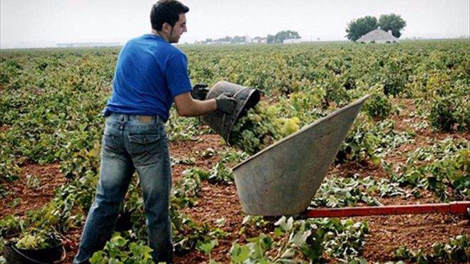 Un agricultor trabajando en el campo. / Europa Press Un agricultor trabajando en el campo. / Europa Press